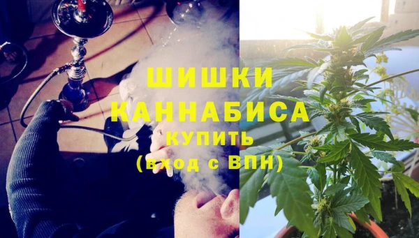 сатива Елизово