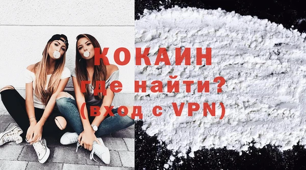 соль ск Абаза